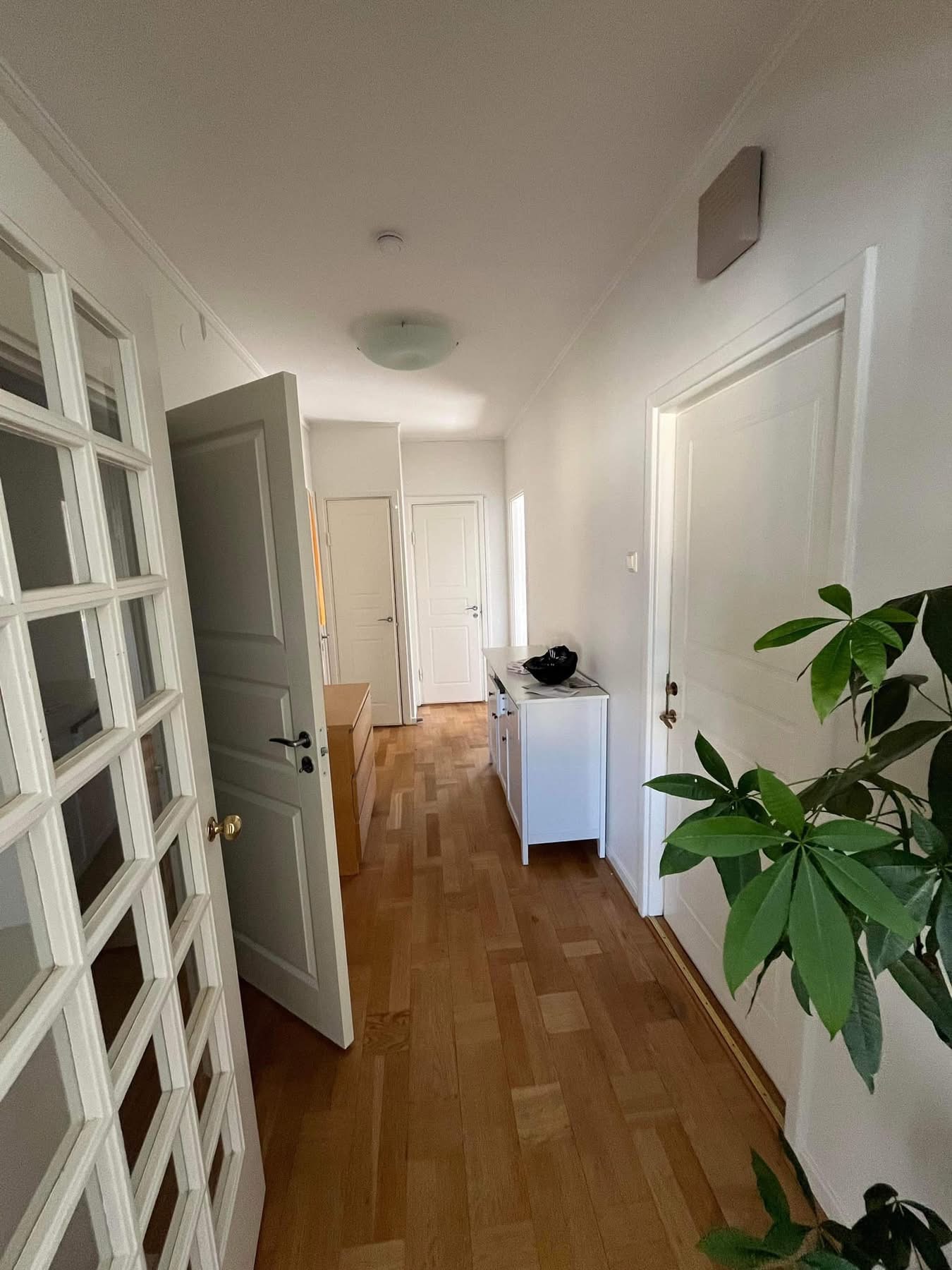 4-rumslägenhet i Göteborg, Hästhovsgatan - bild 4